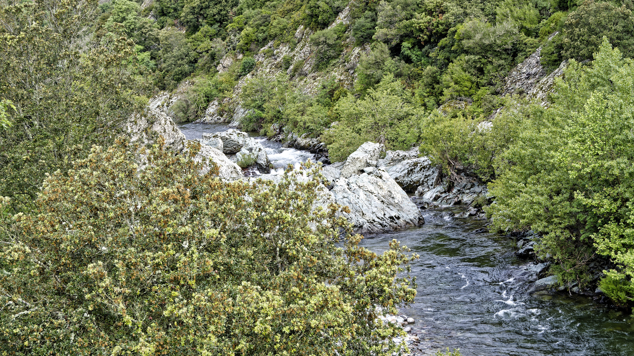 20230518 075634•Morosaglia•Corsica•France